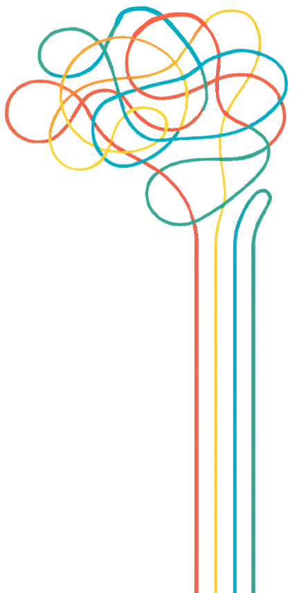 Tangled mess of colorful lines that become organized and straight